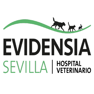 Logo de Evidensia Sevilla