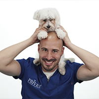 Enrique Ponce - Auxiliar técnico veterinario