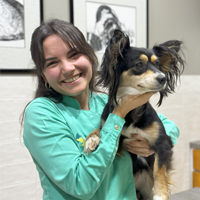 Dr.ª Diana Gaspar - Médica Veterinária