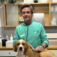 Dr. Carlos Sousa - Médico Veterinário