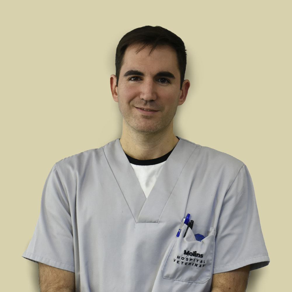 Alejandro López - ATV y Técnico Superior Diagnóstico por La Imagen y Medicina Nuclear