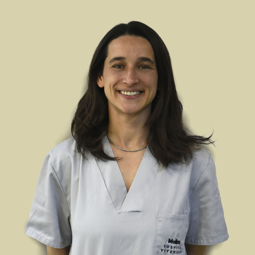 Joana Amorós - Auxiliar Técnico Veterinario