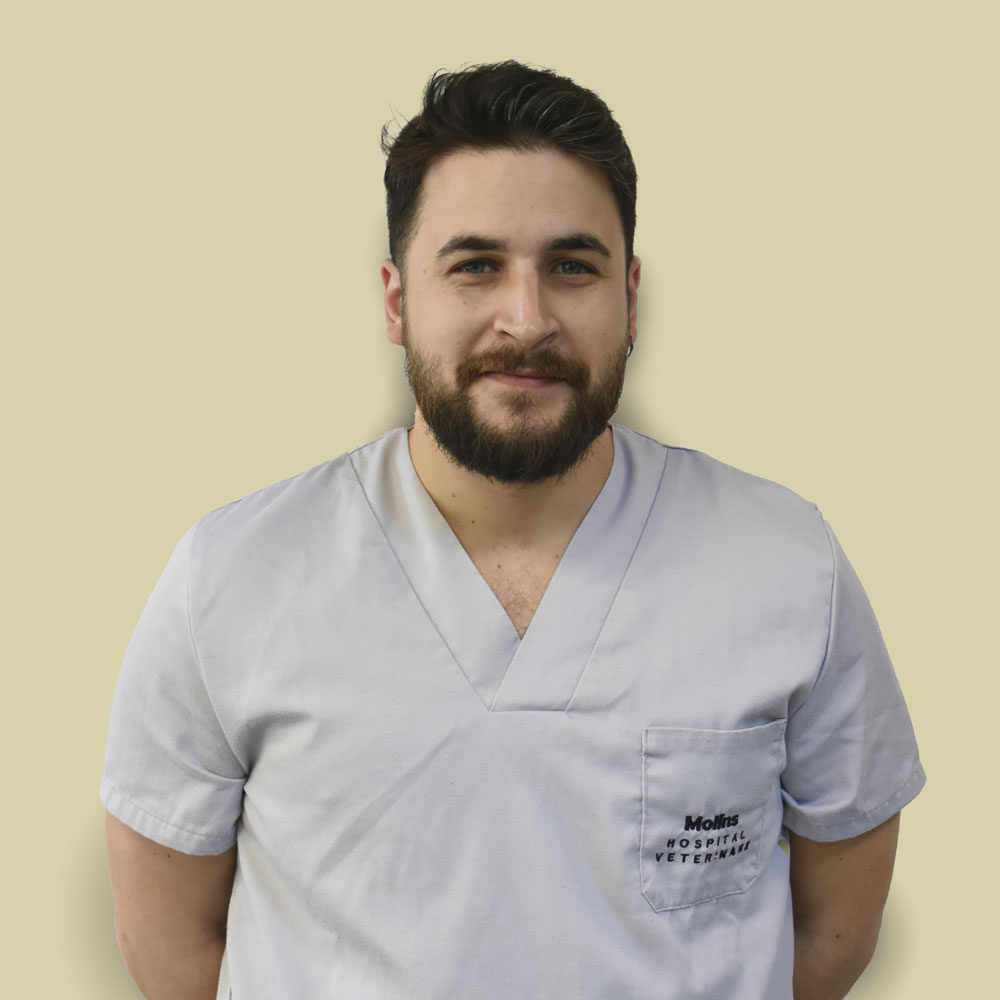 Manel Alcaide - Auxiliar Técnico Veterinario