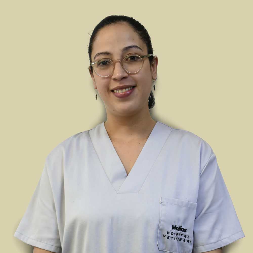 Nohelia Geraldina Diaz - Auxiliar Técnico Veterinario